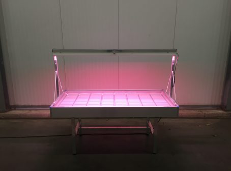 led-bench